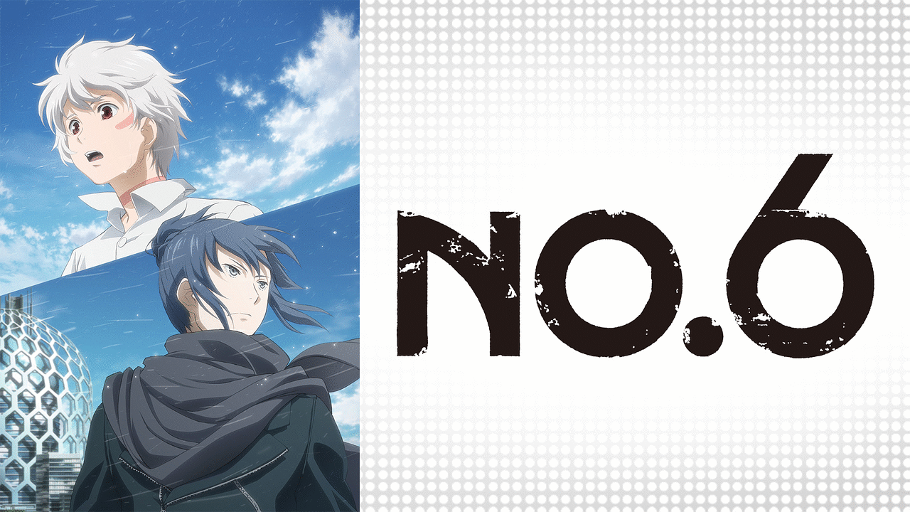 NO.6